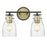 Acclaim Lighting Shelby 2 Light Vanity, Bronze/Brass/Clear Seedy - IN40004ORB