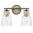 Acclaim Lighting Shelby 2 Light Vanity, Bronze/Brass/Clear Seedy