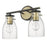 Acclaim Lighting Shelby 2 Light Vanity, Bronze/Brass/Clear Seedy