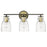 Acclaim Lighting Shelby 3 Light Vanity, Bronze/Brass/Clear Seedy