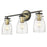 Acclaim Lighting Shelby 3 Light Vanity, Bronze/Brass/Clear Seedy