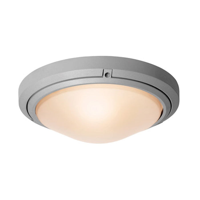 Access Lighting Oceanus 2-Lt LED Ceiling/Wall, Satin/FR - 20356LEDDMGLP-SAT-FST