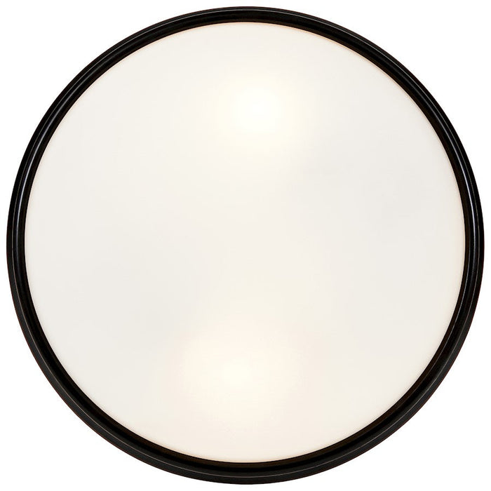 Access Lighting Atom 2 Light Flush Mount