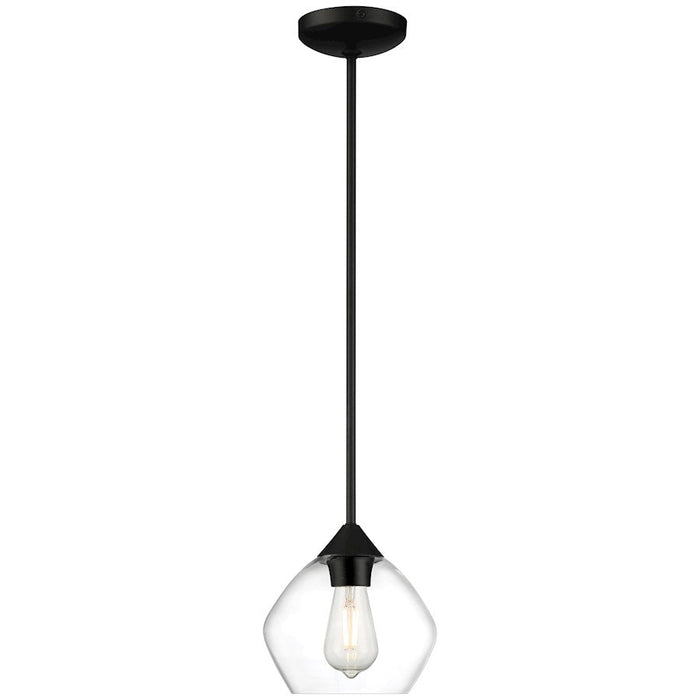 Access Lighting Vintage 1 Light LED Pendant, Black/Clear