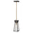 Artcraft Lucian 1 Light Pendant, Black/Brushed Brass/Clear