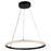 Artcraft Nova 2W 19" LED Pendant, Black - AC6711BK