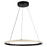 Artcraft Nova 2W LED Pendant, Black