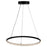 Artcraft Nova 2W LED Pendant, Black