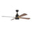 Craftmade 52" Beckett Ceiling Fan, Flat Black/Satin Brass - BEC52FBSB4