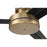 Craftmade Mondo 54" Ceiling Fan/Blades Included, Satin Brass/Black