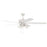 Craftmade Outdoor Super Pro 60" Ceiling Fan, White/4 Light Kit/Clear - OS104W5