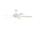 Craftmade Outdoor Super Pro 60" Ceiling Fan, White, White, White - OS60W5