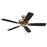 Craftmade Pro Plus 52" Fan with Blades