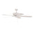 Craftmade Pro Plus 52" Fan with Blades, White, White - P52W5-52WWOK