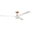 Craftmade Phoebe 60" Ceiling Fan, Brass/White - PHB60SB3