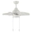 Craftmade Propel II 24" Ceiling Fan/Light Kit, White - PPT24W6