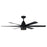 Craftmade Quirk 54" Ceiling Fan