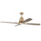 Craftmade Ricasso 60" Ceiling Fan, Satin Brass - RIC60SB4