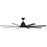 Craftmade Wingtip 72" Ceiling Fan with Blades