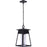 Craftmade Becca 1 Light Large Outdoor Pendant, Textured Matte Black - ZA2721-TB