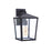 Craftmade Olsen 1 Light 13" Outdoor Lantern, Midnight - ZA4614-MN