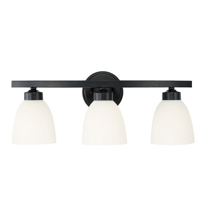 HomePlace Lighting Jameson Vanity, Black/White