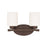 HomePlace by Capital Lighting Dixon 2 Light Vanity, Bronze - 115221BZ-338