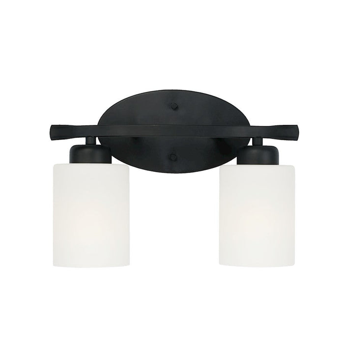 HomePlace Lighting Dixon Vanity, Black/White