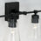 Capital Lighting Rory 2 Light Vanity in Matte Black/Clear