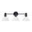 Capital Lighting Greer 3 Light Vanity, Clear