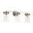 HomePlace Lighting Fuller 3 Light Vanity, Brushed Nickel/Clear - 148731BN-539