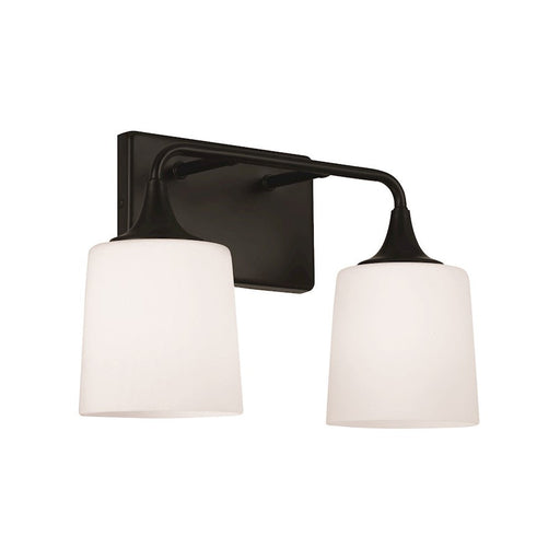 HomePlace Lighting Presley 2 Light Vanity, Black/Soft White - 148921MB-541