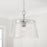 Capital Lighting Baker 1 Light 14" Pendant, Clear Seeded