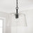 Capital Lighting Baker 1 Light 14" Pendant, Clear Seeded