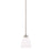 HomePlace by Capital Lighting Jameson 1 Light Pendant, Nickel - 314311BN-333