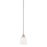 HomePlace by Capital Lighting Trenton 1 Light Pendant, Nickel - 315111BN-337