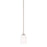 HomePlace by Capital Lighting Dixon 1 Light Pendant, Nickel - 315211BN-338