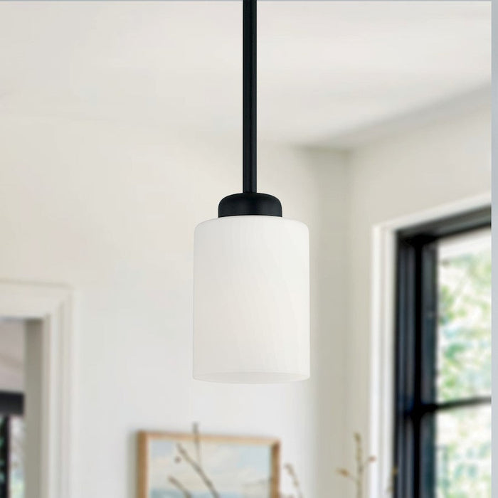 HomePlace Lighting Dixon 1 Light Pendant, Black/White