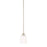 HomePlace by Capital Lighting Hayden 1 Light Pendant, Nickel - 315311BN-339