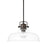 Capital Lighting 1 Light Dome Pendant, Burnished Bronze - 319911BB