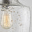 Austin Allen & Co Stoney 1 Light Pendant, Pewter/Clear Stone Seeded