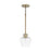 Capital Lighting Danes 1-Light Pendant, Aged Brass/Clear - 338111AD-489