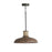 Capital Lighting Jacob 1-Light Small Pendant, Grey Wash Iron Silk - 340312YG