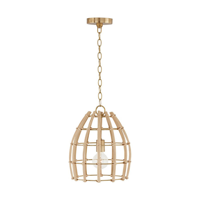 Capital Lighting Wren Pendant, Matte Brass