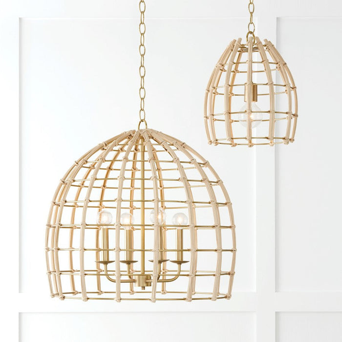 Capital Lighting Wren Pendant, Matte Brass