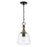 Capital Lighting Amara 1 Light Pendant, Black/Brass/Clear Seeded - 345611KB