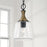 Capital Lighting Amara 1 Light Pendant, Black/Brass/Clear Seeded