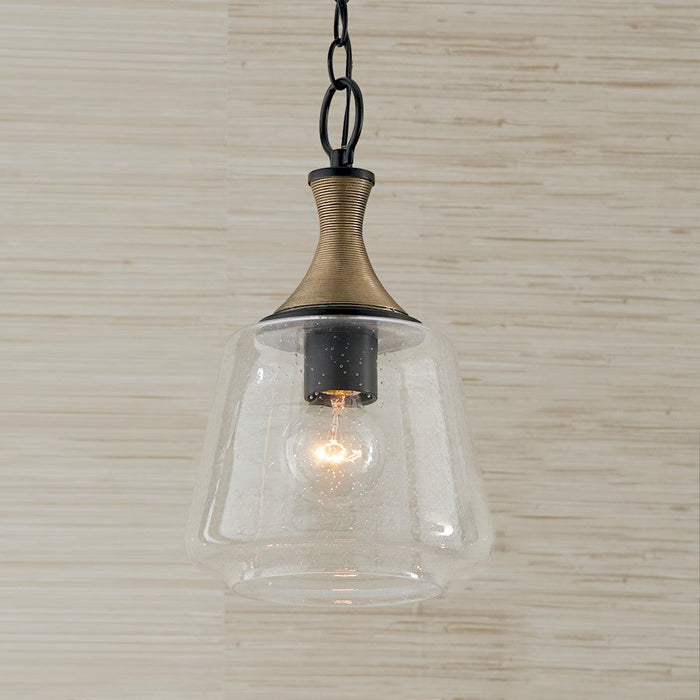 Capital Lighting Amara 1 Light Pendant, Black/Brass/Clear Seeded