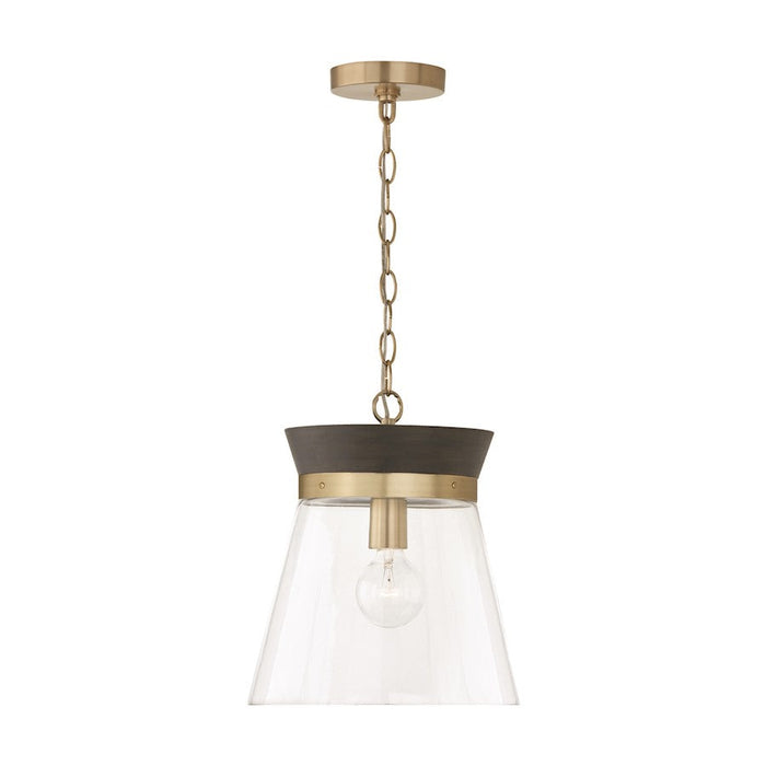 Capital Lighting Finn 1 Light Pendant, Black/Clear - 347311KR