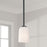 Homeplace Lighting Lawson 1 Light Pendant